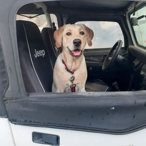 Meet your Posher, Tim